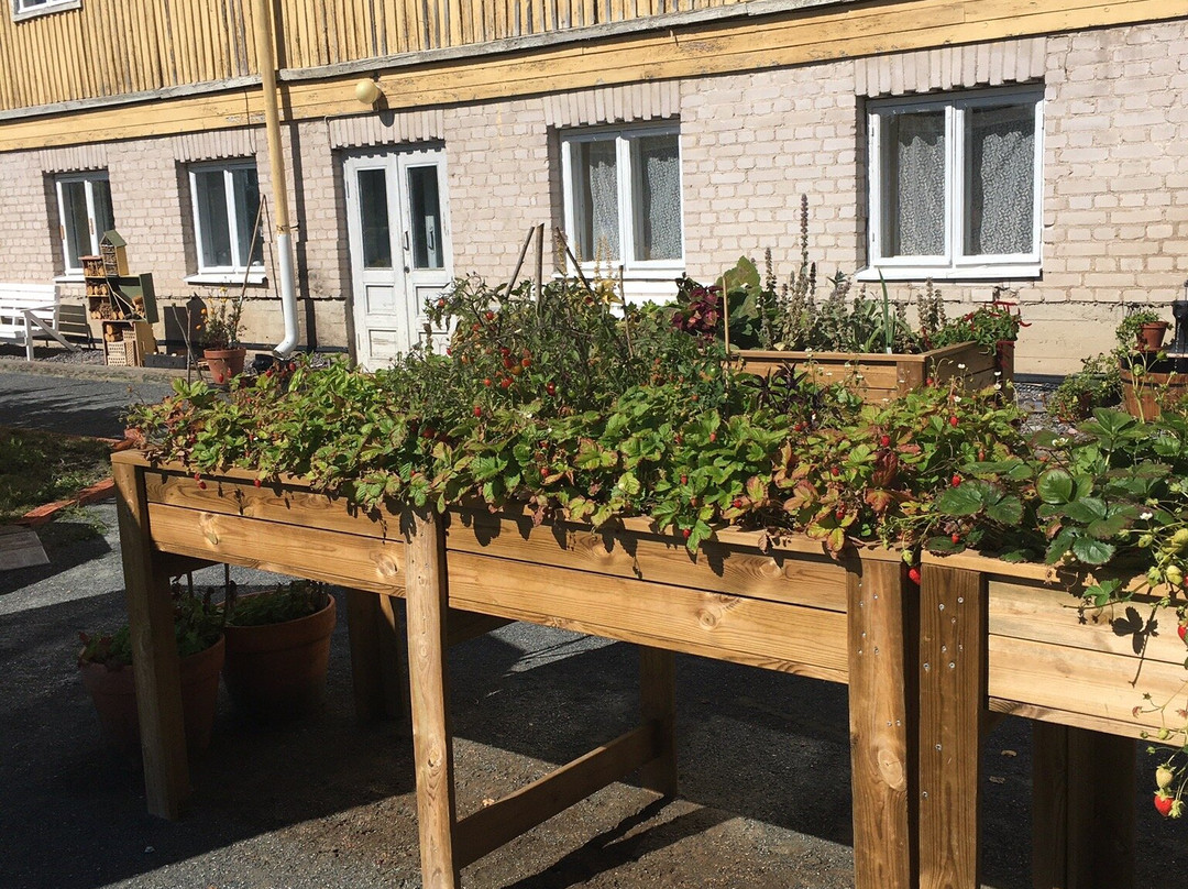 Sagalunds Museum-Kimito Island必去景点