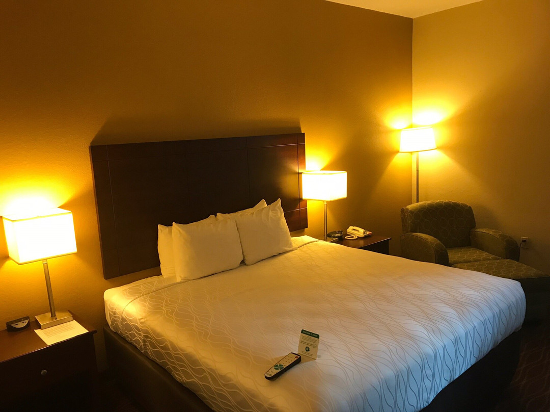 Best Western Plus Springfield Airport Inn主图