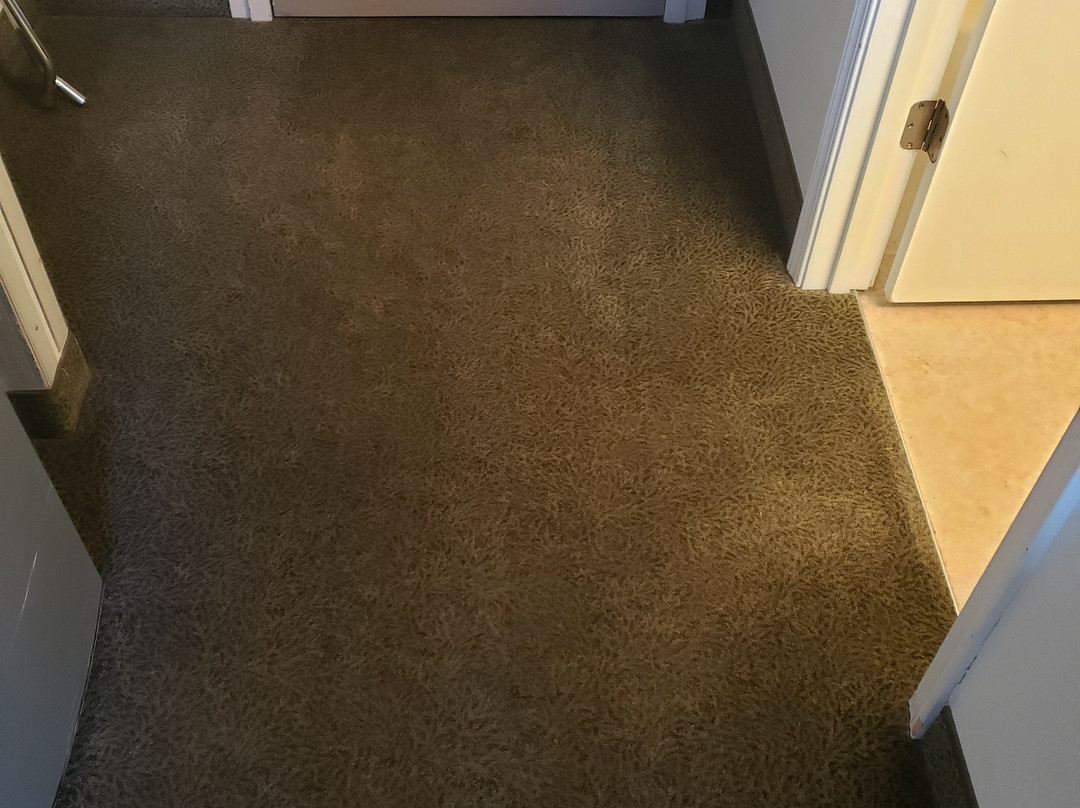 Super 8 by Wyndham Central Pt Medford主图