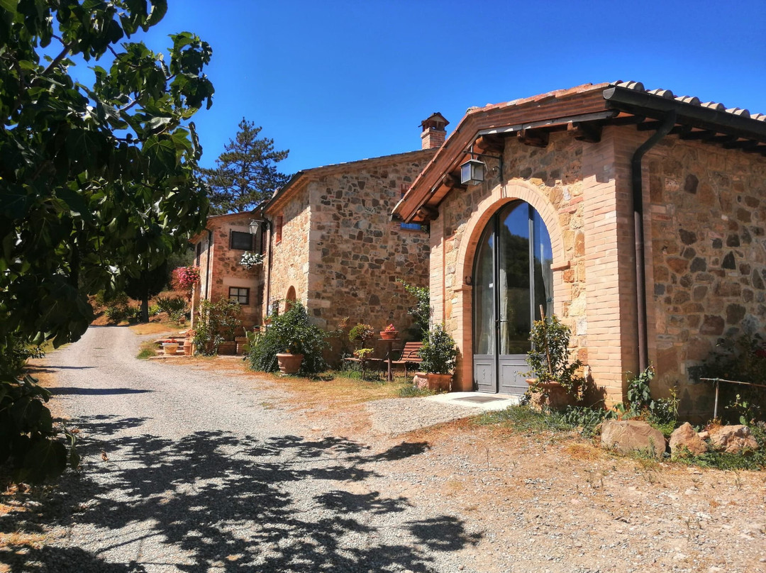 Azienda Agricola Sante Marie di Vignoni-圣奎里科多尔恰必去景点
