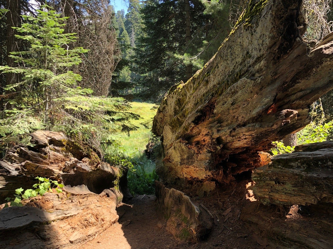 Crescent Meadow Loop-红杉&国王峡谷国家公园必去景点