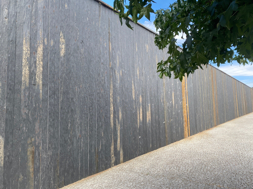 Espaço Miguel Torga景点图片