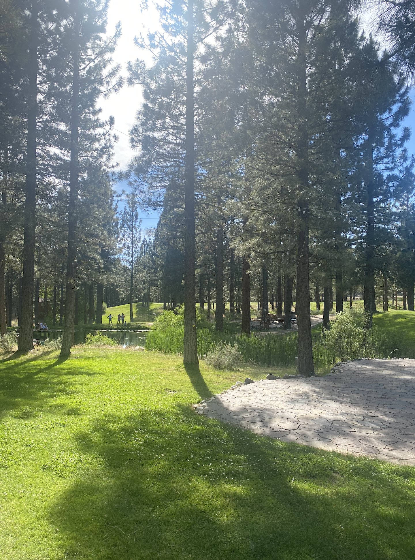 Chalet View Lodge-浴室
