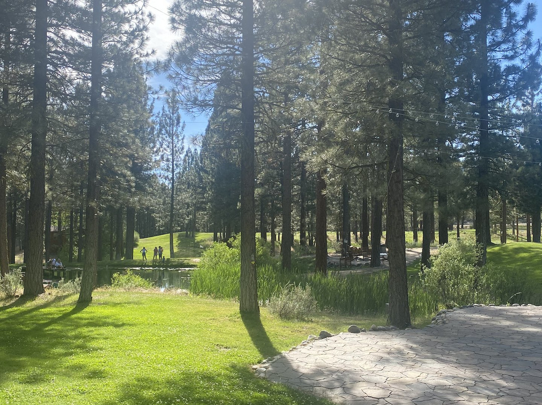 Chalet View Lodge主图