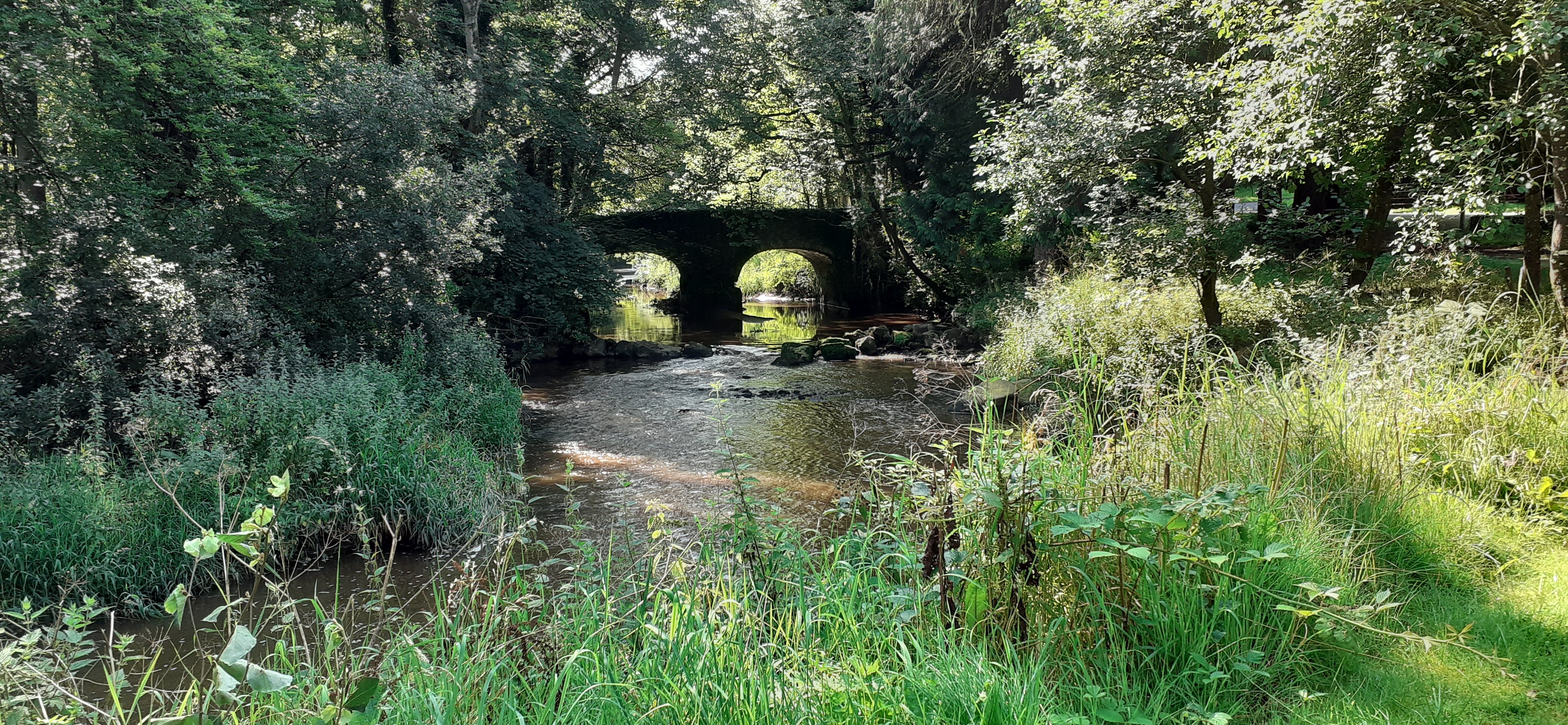 Tullylagan Country House Hotel-浴室