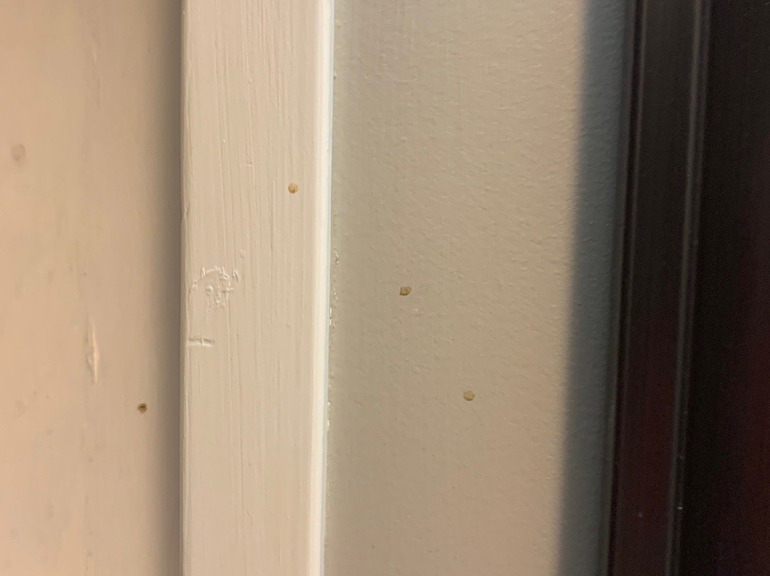 Brackley Country Inn主图