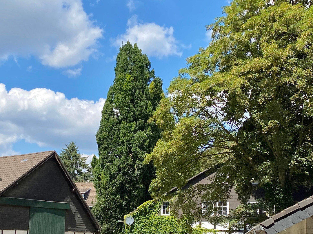 古特莫斯科恩霍夫酒店主图