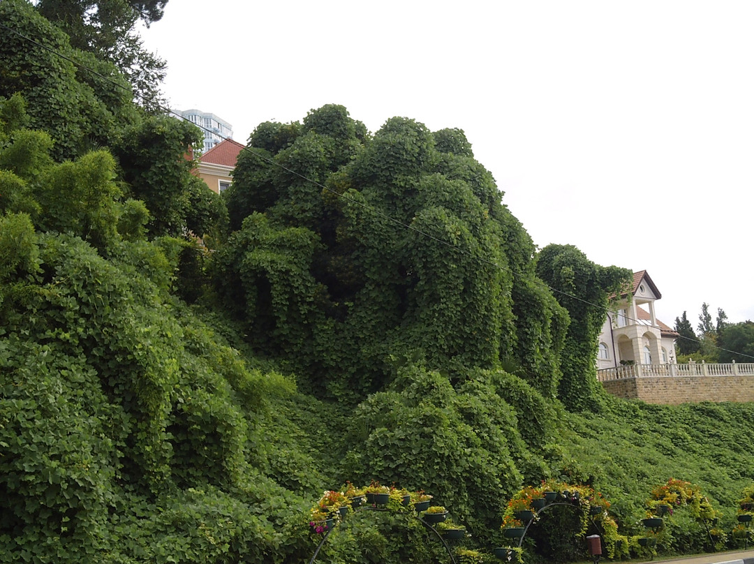 Kurortny Avenue景点图片