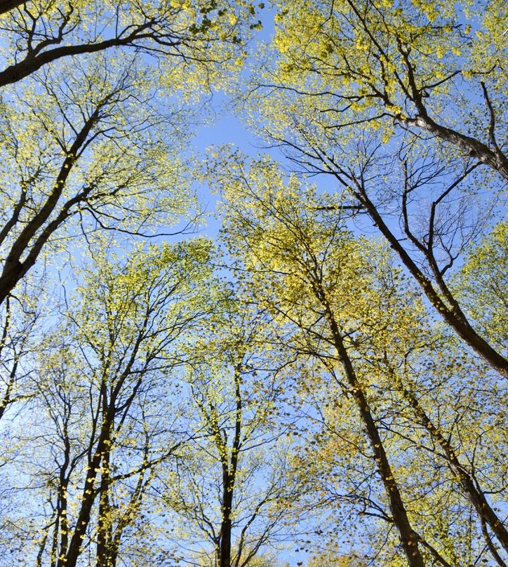 Nature Preserve At Friday Harbour景点图片