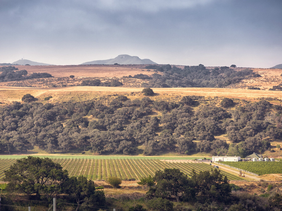 Riverbench Vineyard and Winery-圣玛丽亚必去景点