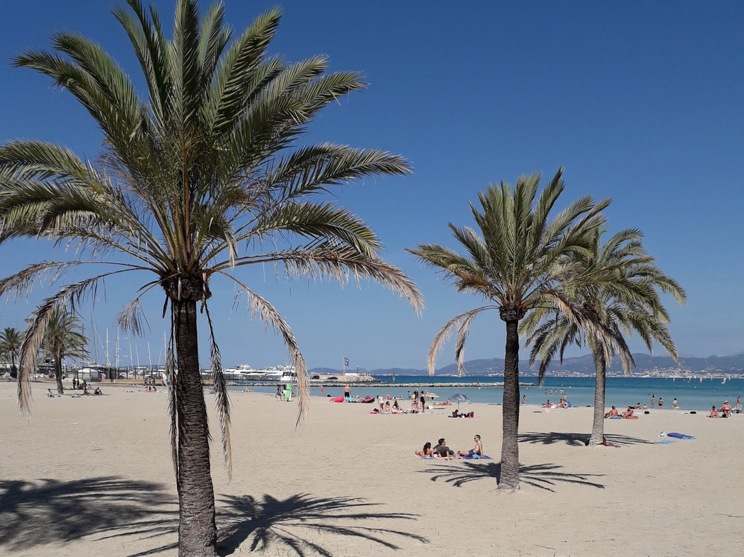 Hotel Don Pepe主图