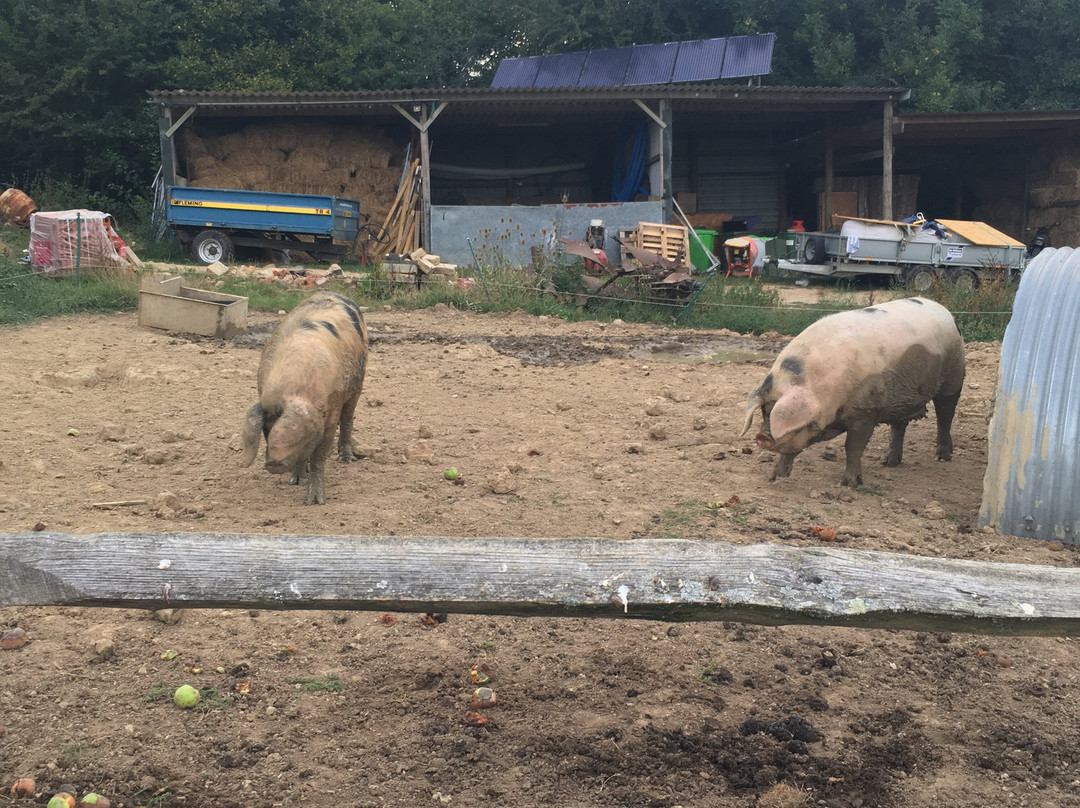 Westcott旅游攻略图片