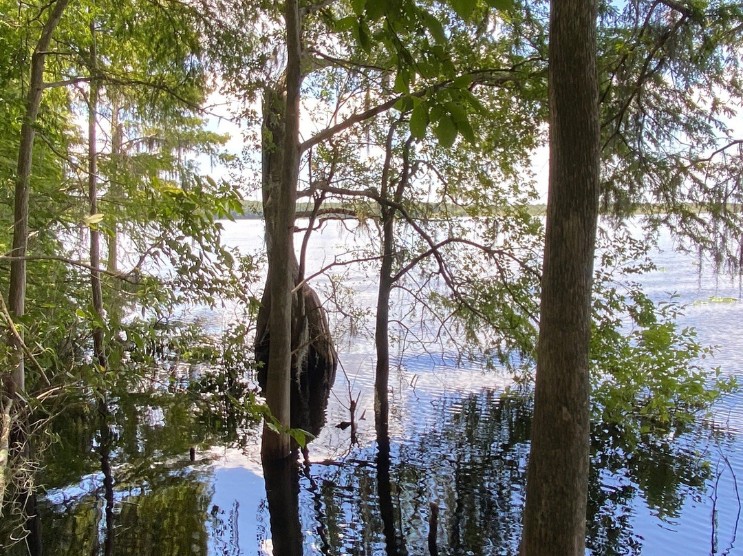 Lake Ashby Park-新士麦那海滩必去景点