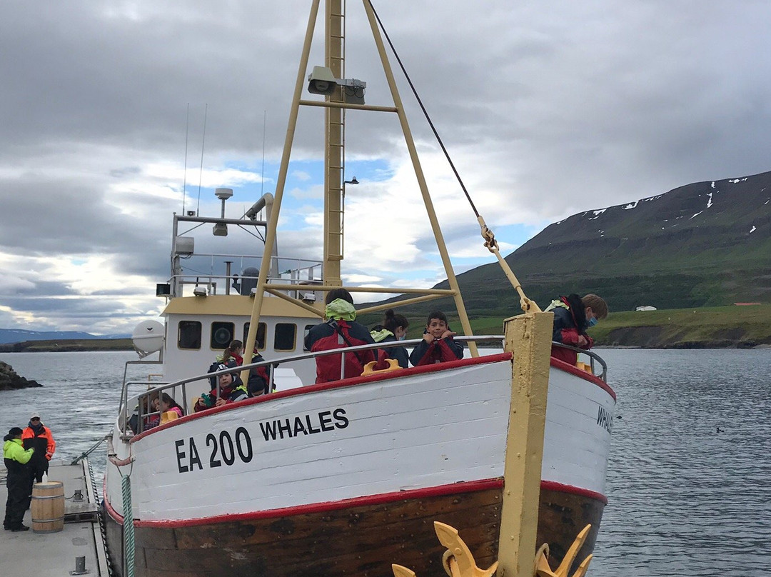 Hauganes旅游攻略图片