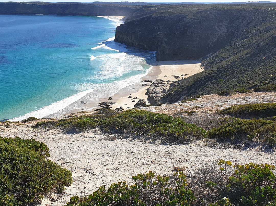 Cape Spencer Lighthouse-Inneston必去景点