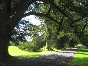 Loughcrew Estate-Oldcastle必去景点