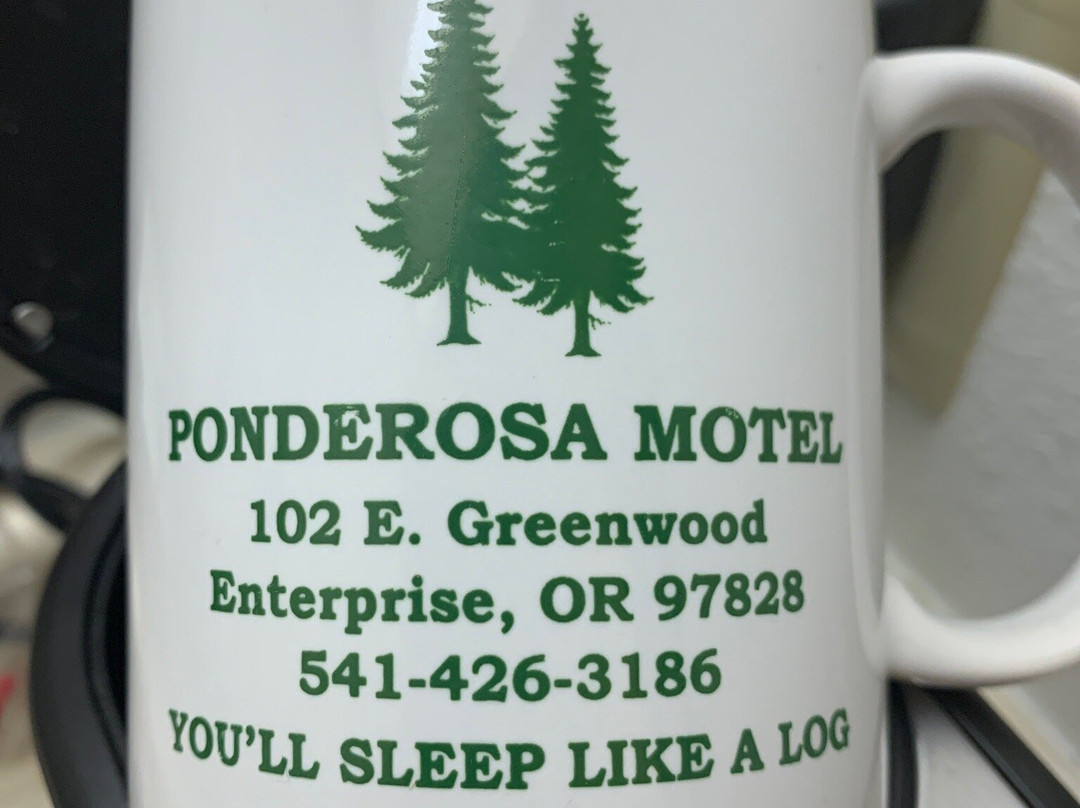 The Ponderosa Motel主图