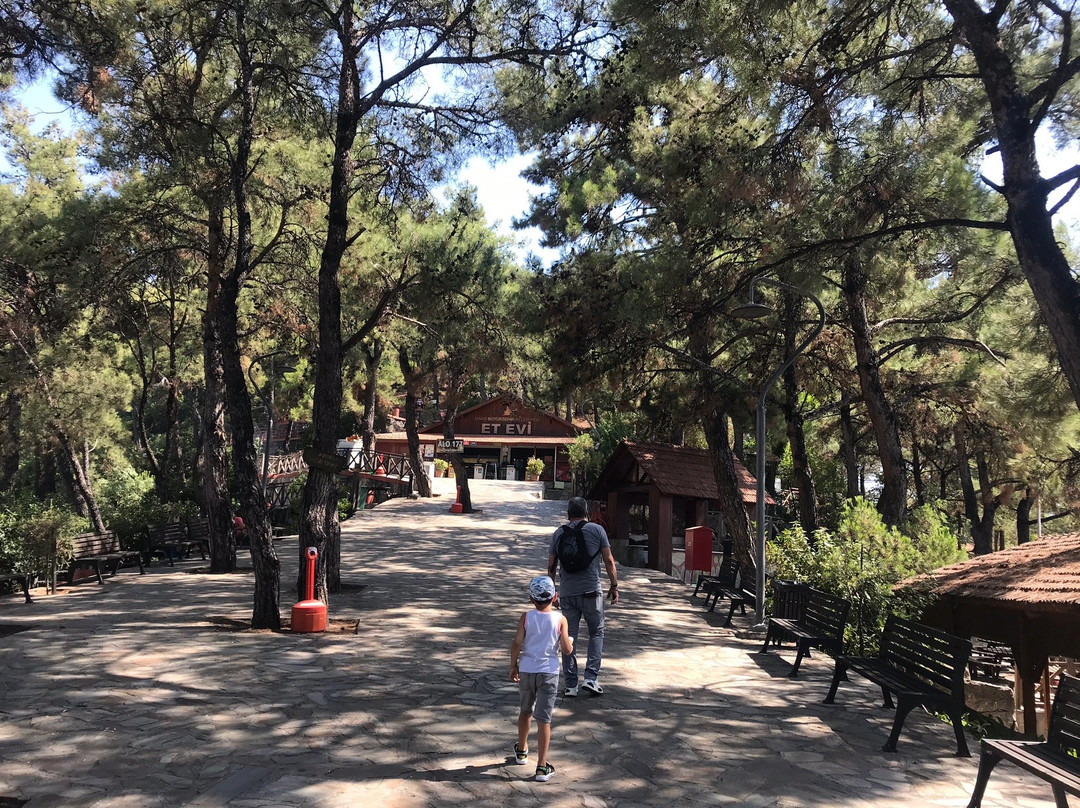 Izmir Teleferik景点图片