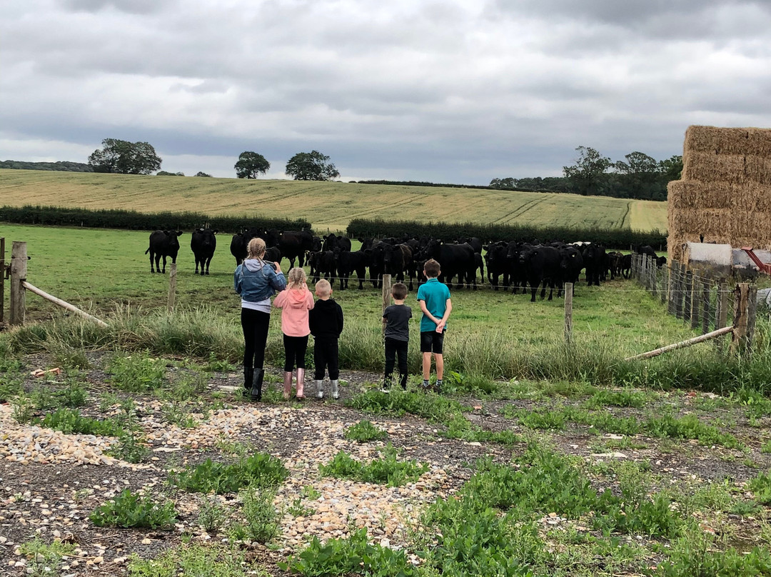 Lovesome Hill Farm主图