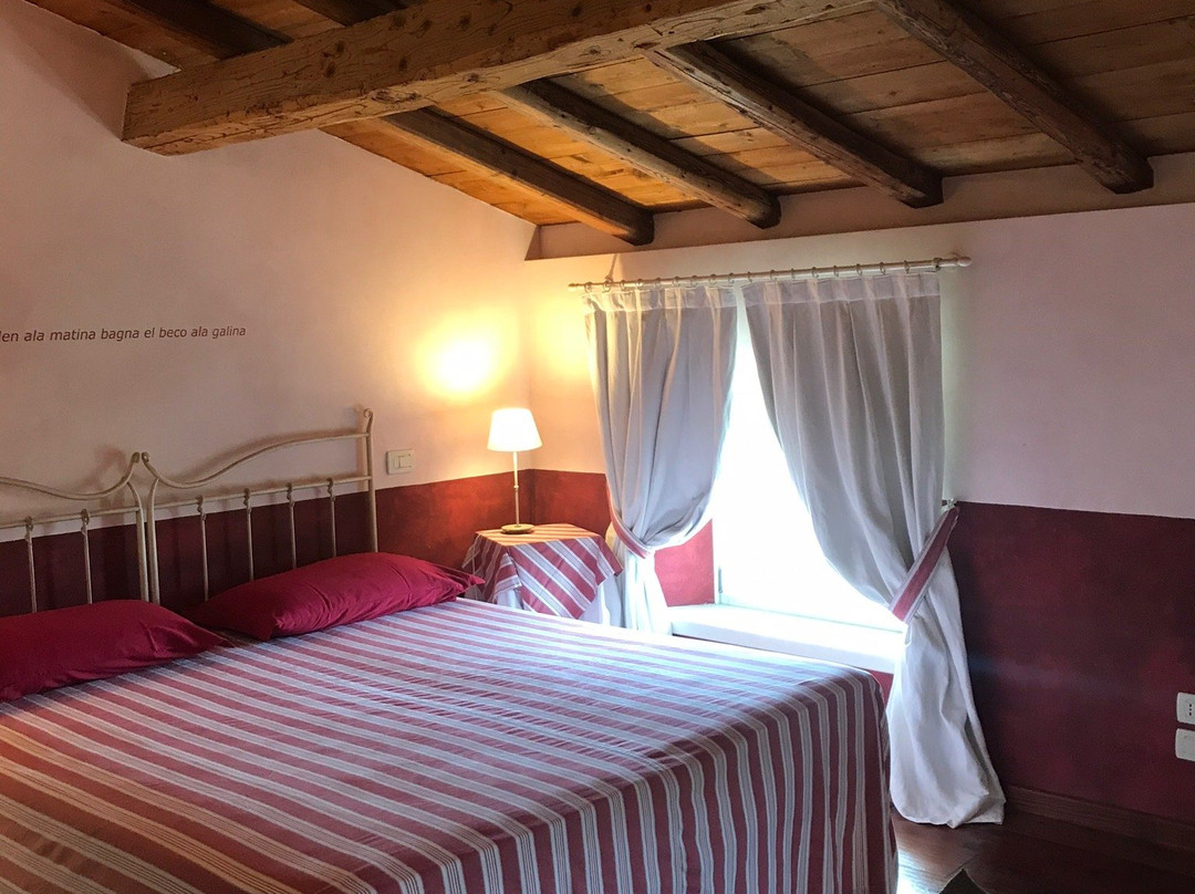 Agriturismo Casa Aurora主图