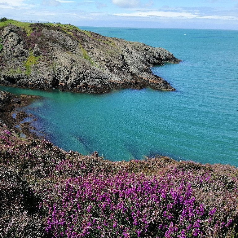 Anglesey Coastal Path景点图片