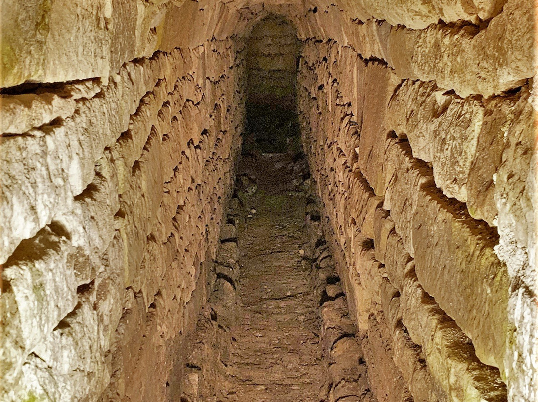 Château Renaissance de Coulonges-sur-l'Autize景点图片