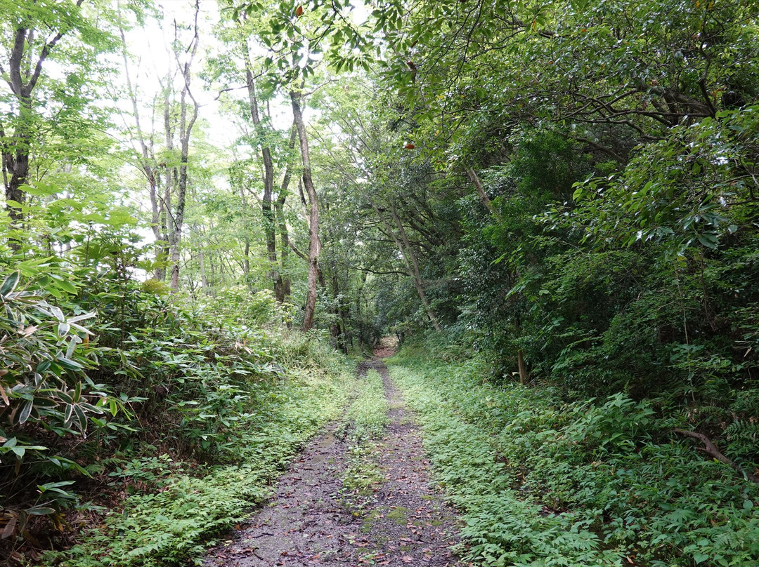 Souma Nakamura Castle Old Site-相马市必去景点