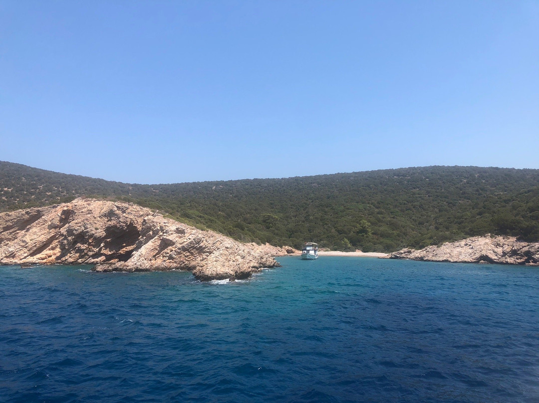 Barakuda Bodrum景点图片