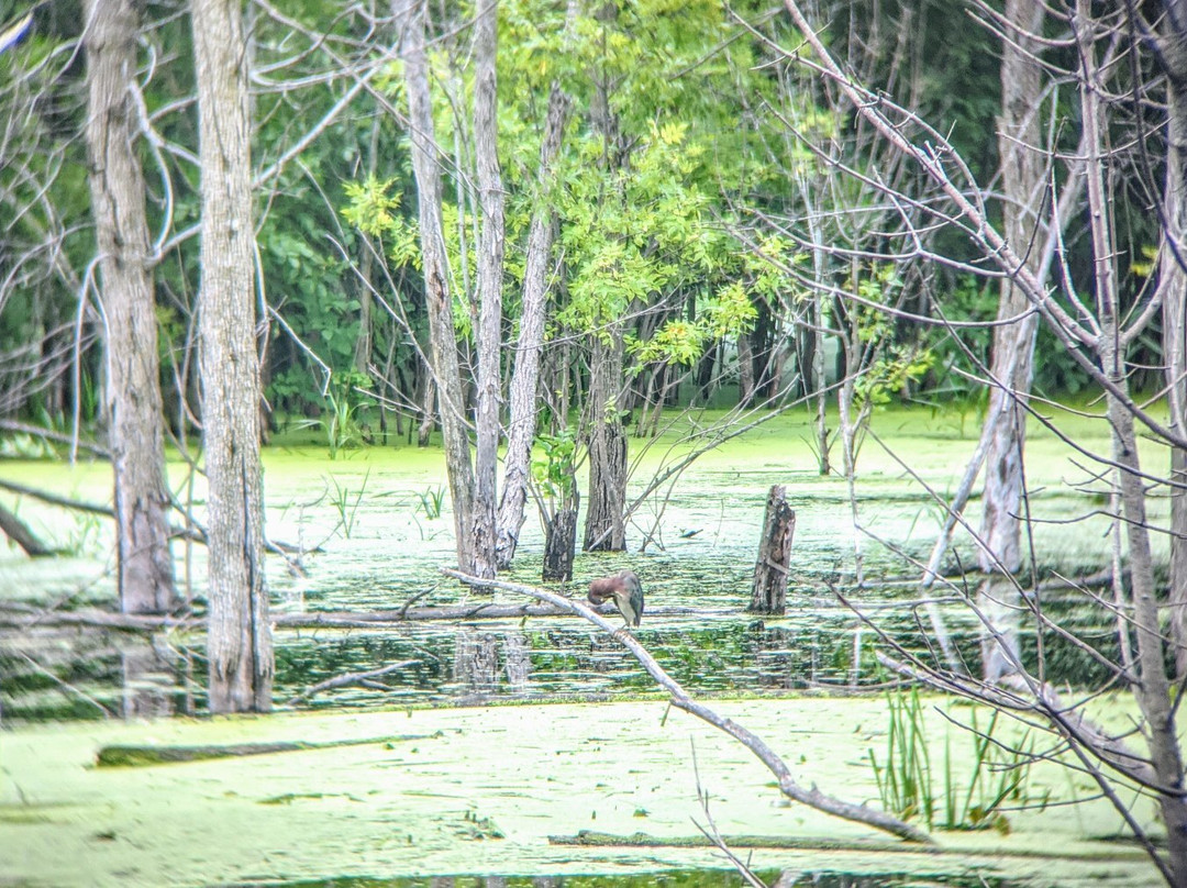 Orland Park Nature Center景点图片