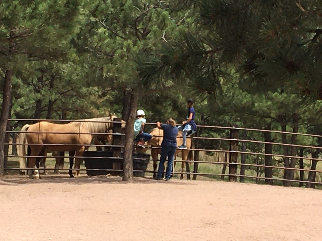 Sage Meadow Ranch-温泉城必去景点