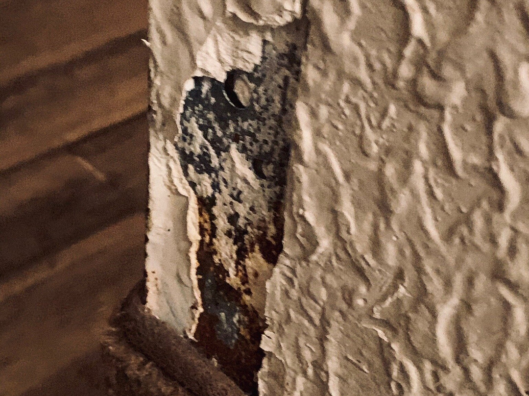 La Quinta Inn & Suites by Wyndham Shreveport Airport主图