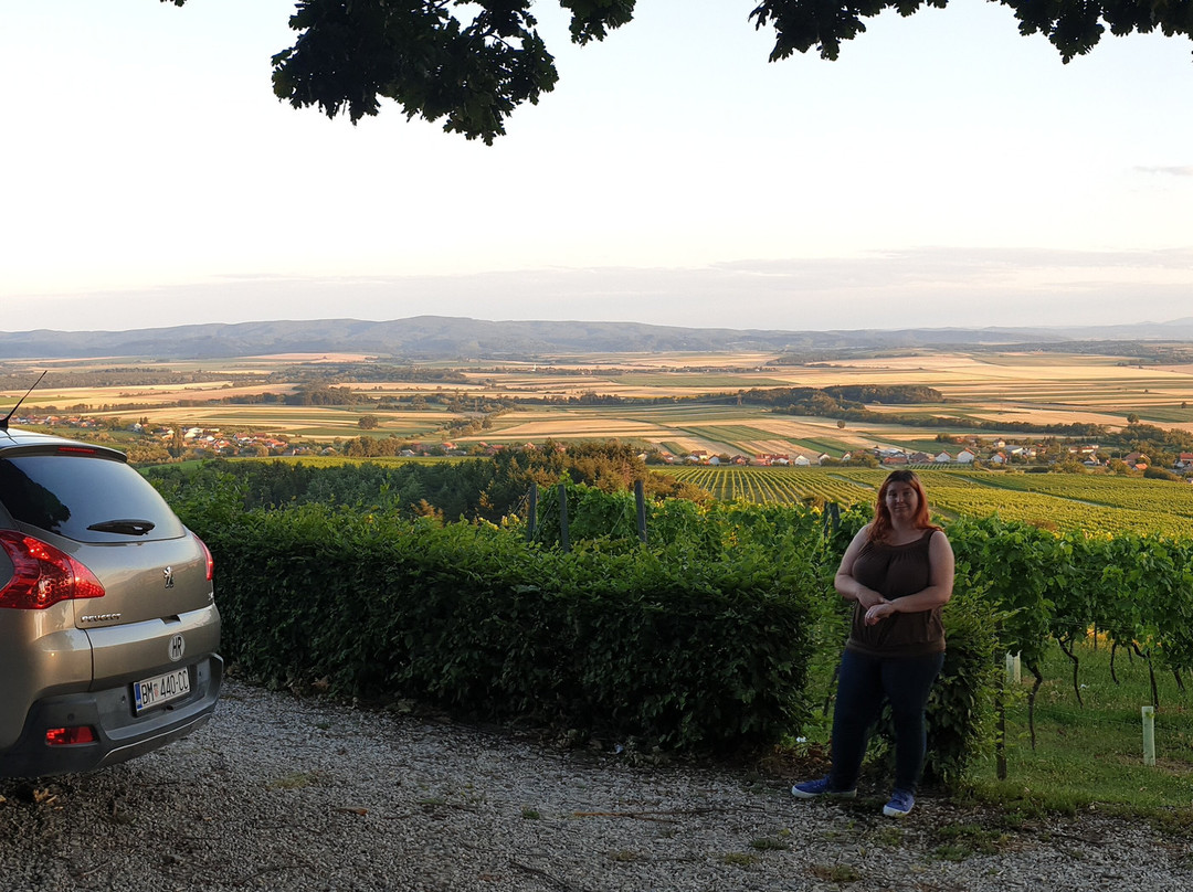 Vidikovac Vila Vinkomir