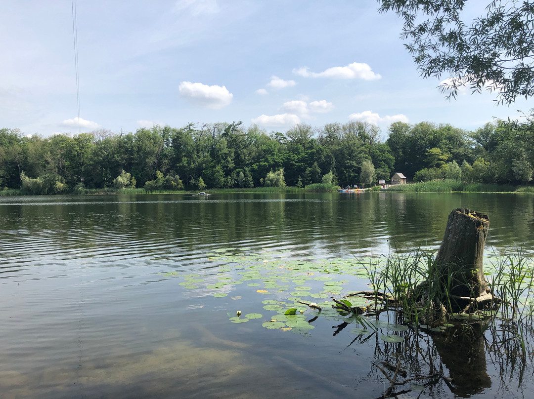 Heart Lake Conservation Park-布兰普敦必去景点