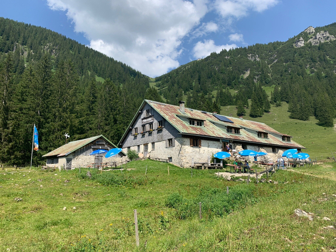 Hinterstein酒店住宿-Pension Hochvogel