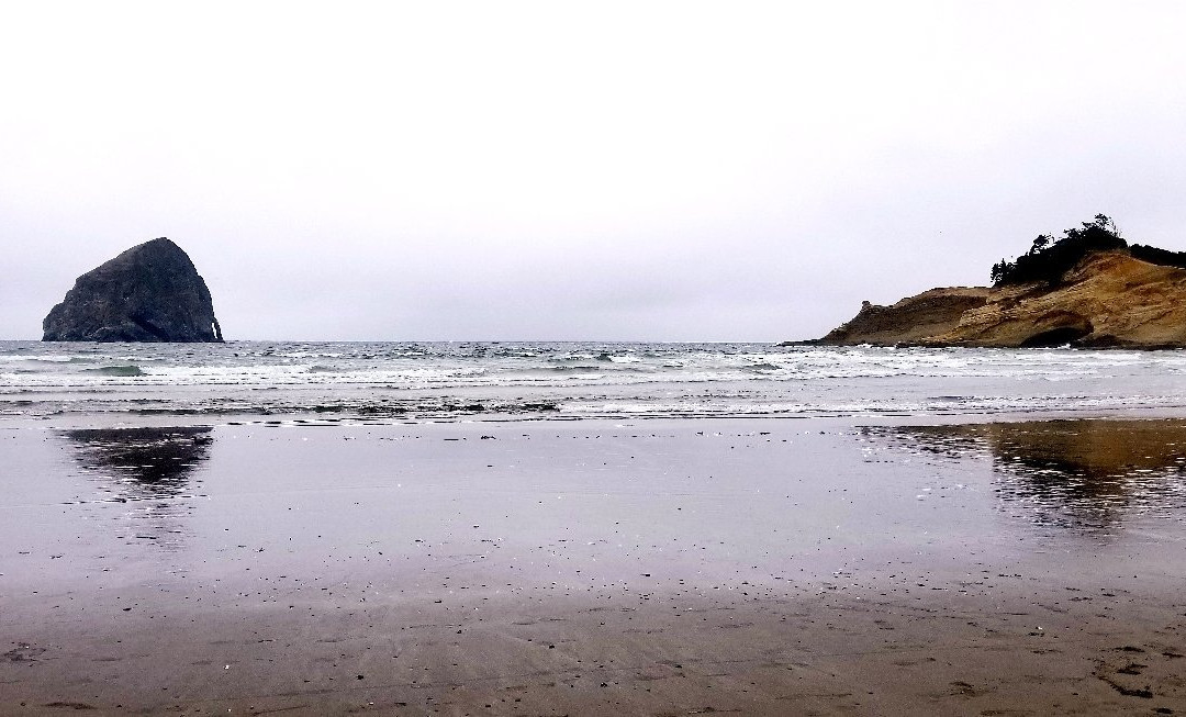 Bob Straub State Park-太平洋城必去景点