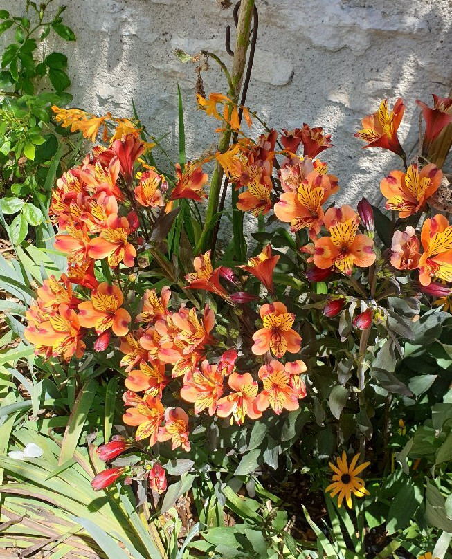 Promenade Florales-Chedigny必去景点