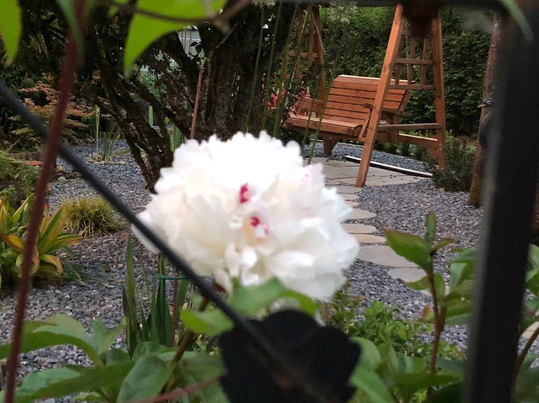 Dalgreine Guest House主图