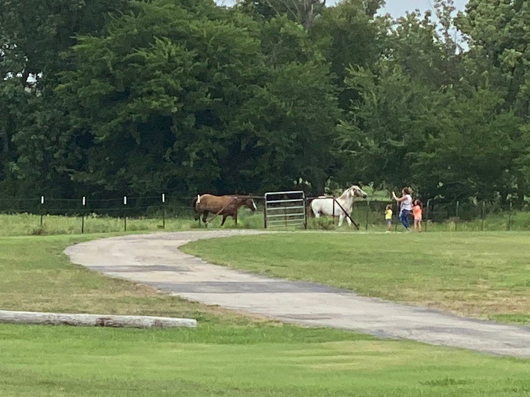 The Plantation House Boutique Inn主图