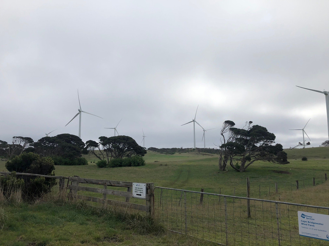Cape Bridgewater Wind Farm景点图片