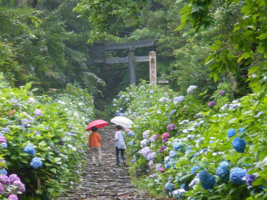 Ajisaizaka景点图片