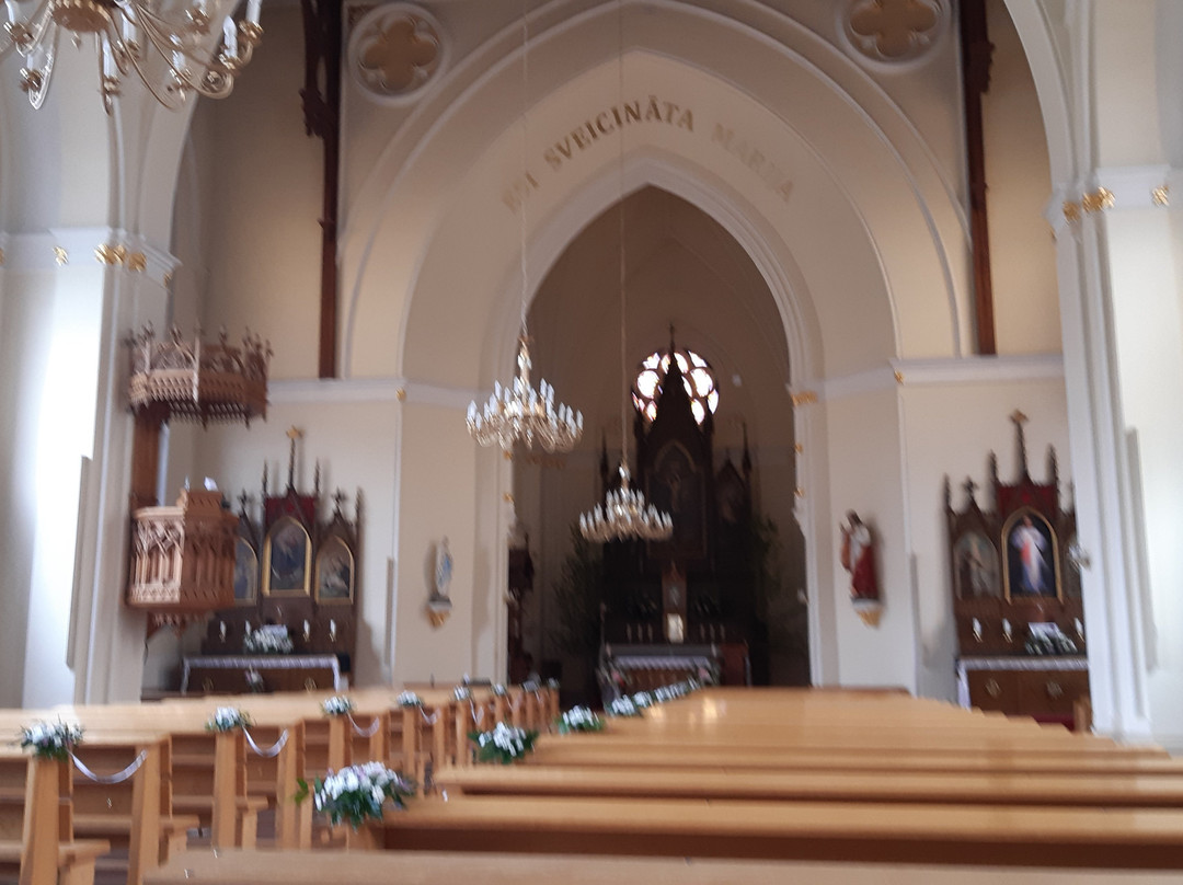 Virgin Anna Roman Catholic Cathedral-叶尔加瓦必去景点