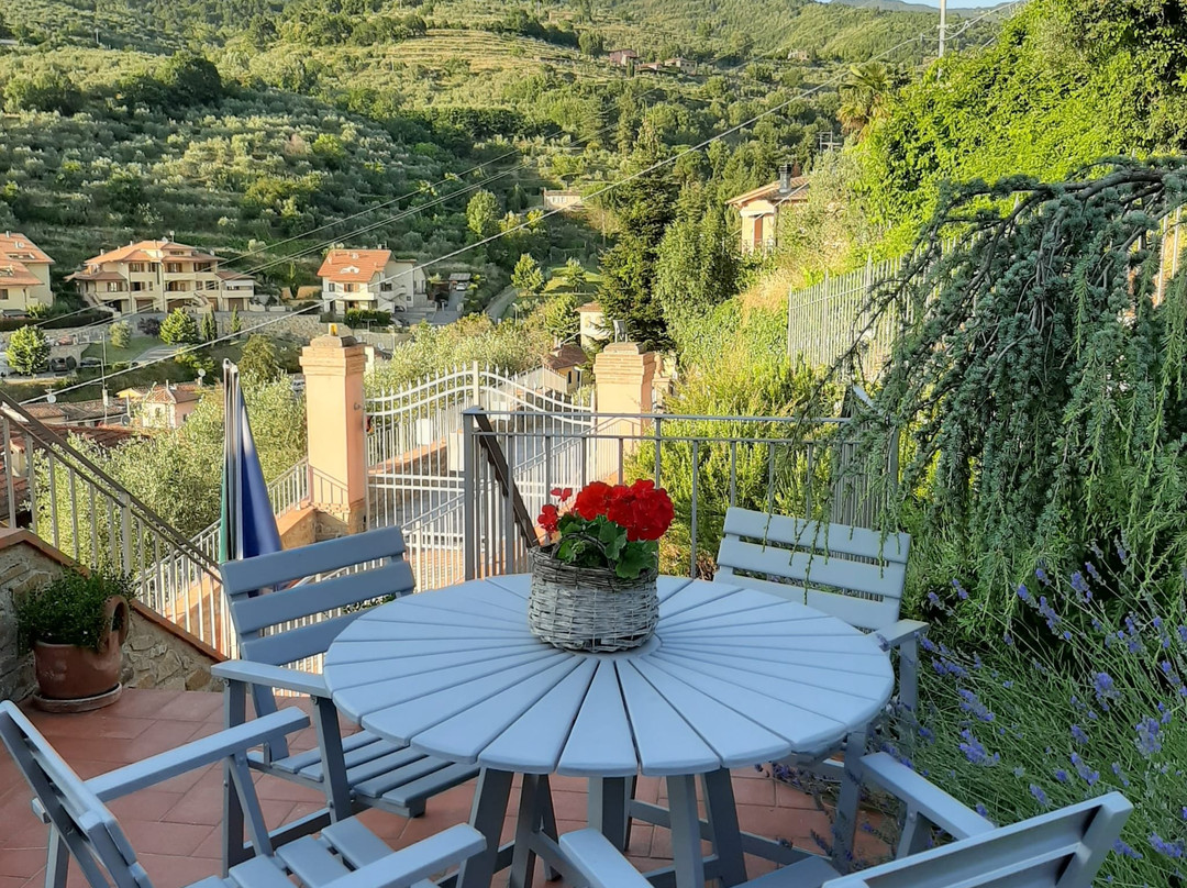La Terrazza Di Reggello主图