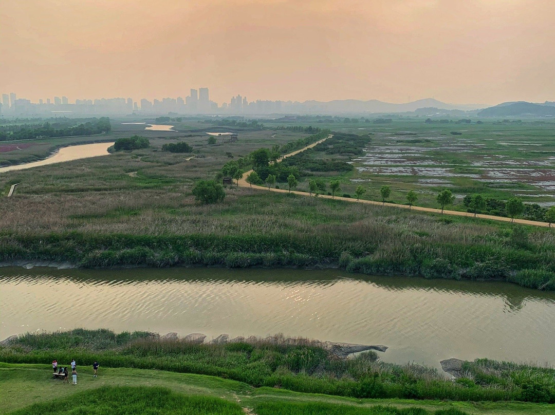 Gaetgol Eco Park-始兴市必去景点