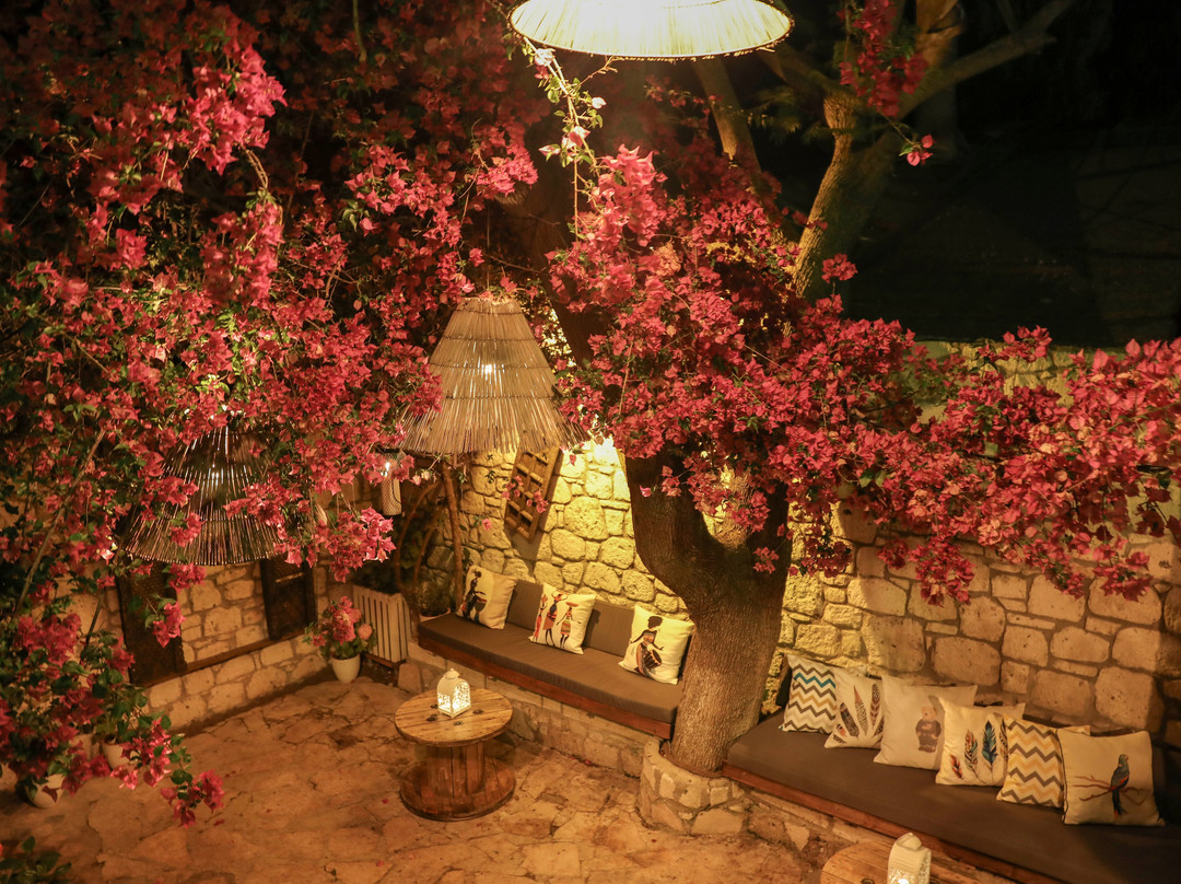 Bee Alacati Butik Otel主图