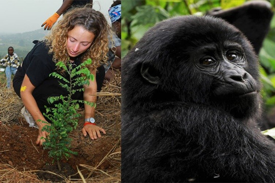 Upcycle Impact Tours