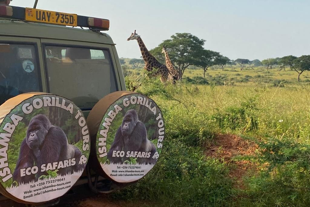 Ishamba Gorilla Tours and Eco-Safaris景点图片
