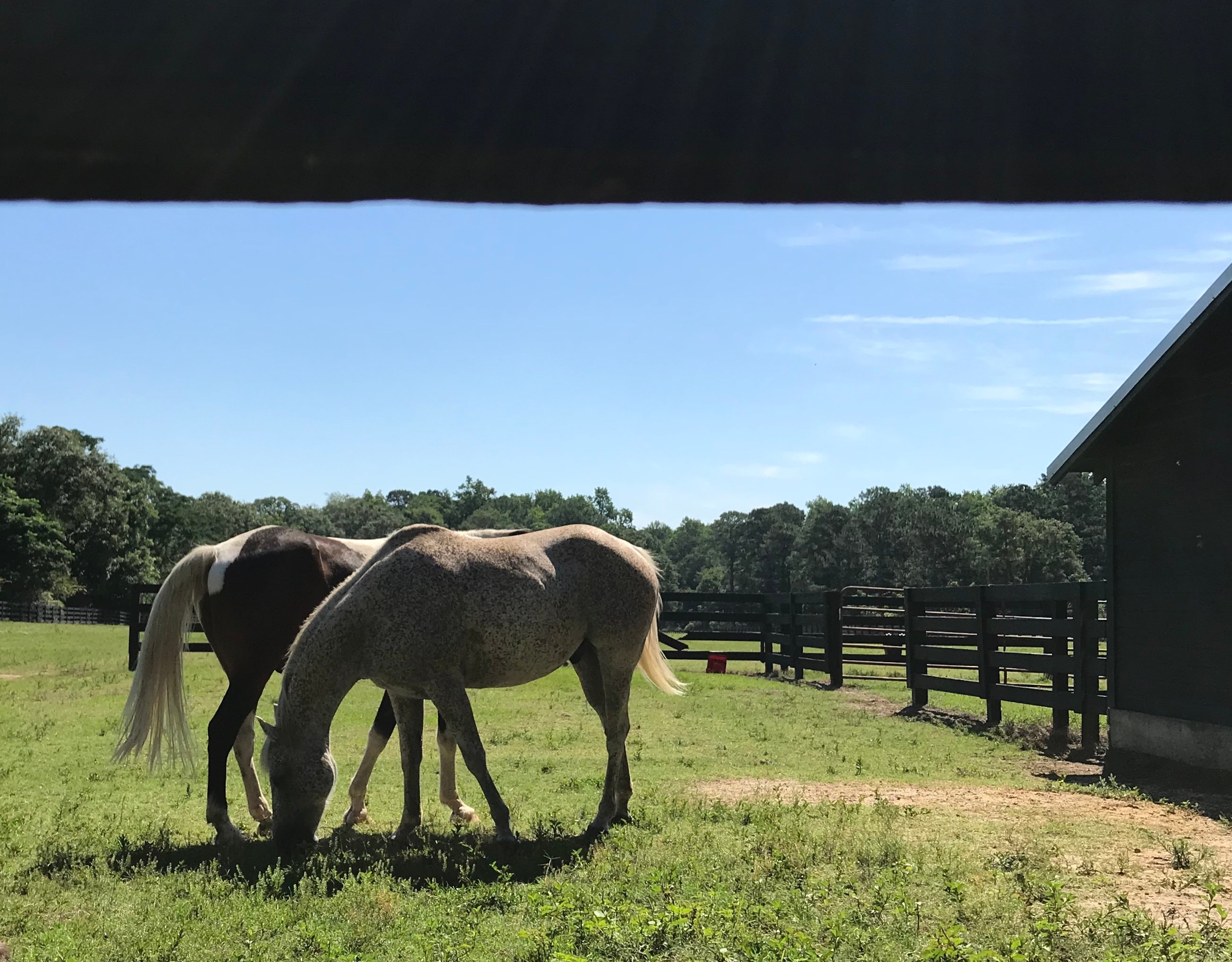 Ashburn Hill Plantation-浴室