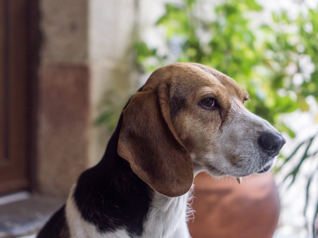 Casa do Conselheiro主图