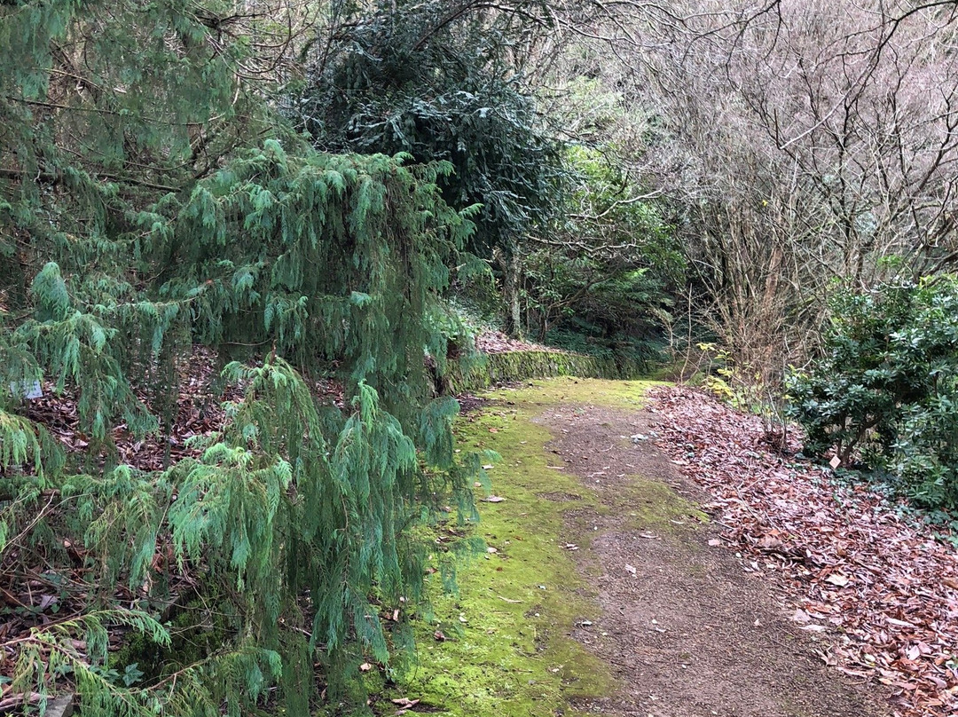 Pirianda Garden-奥林达必去景点