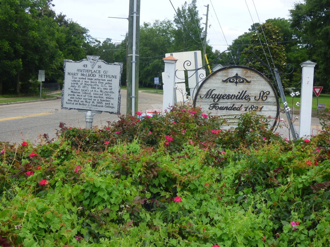 Dr. Mary McLeod Bethune Park景点图片